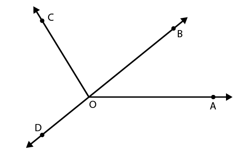 Understanding Elementary Shapes Class 6