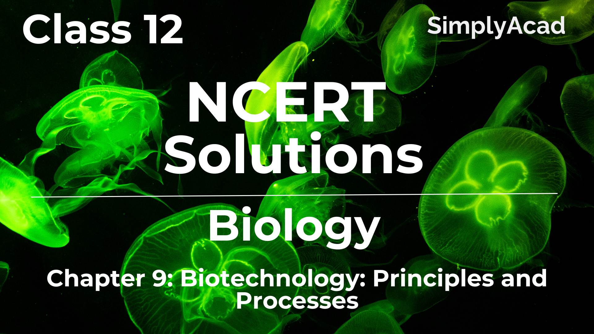 Biotechnology Principles and Processes Class 12 Biology Chapter 9