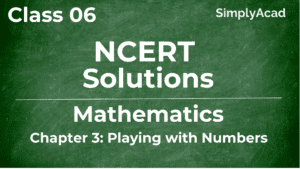 Playing with number Class 6