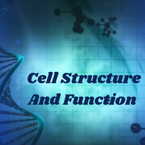 Cell Structure And Function