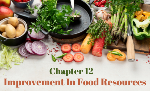 Improvement In Food Resources