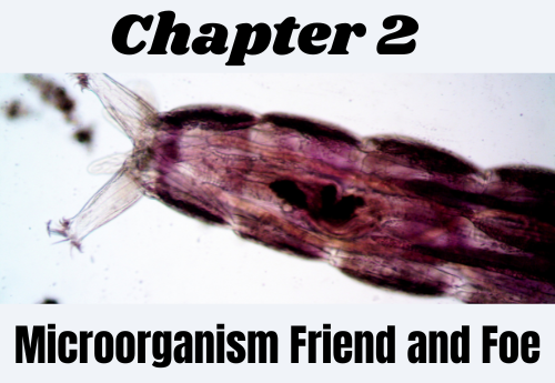 Microorganism Friend and Foe