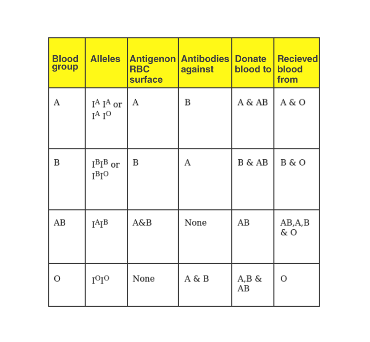 NCERT Exemplar Solution of Class 11 Biology Chapter 18 Body Fluids and Circulation-3