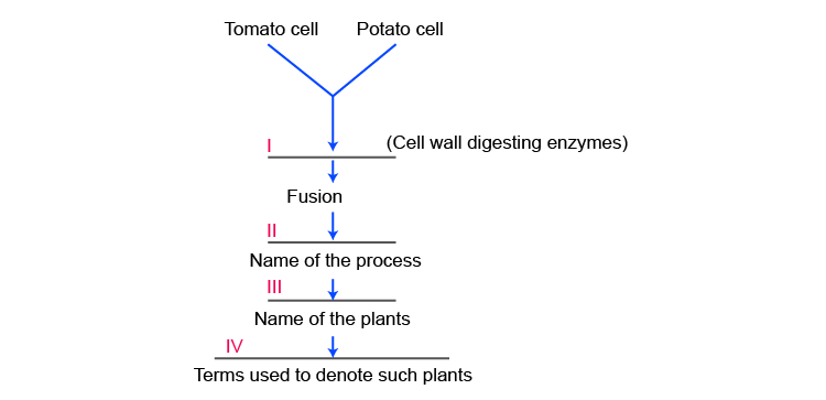 NCERT Exemplar Solution of Class 12 Biology Chapter 9 Strategies for Enhancement in Food Production-1