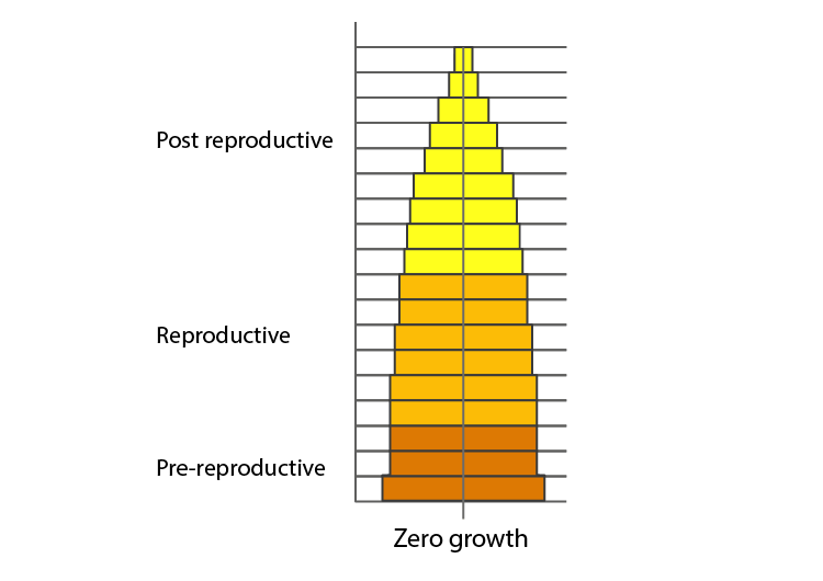 NCERT Exemplar Solution of Class 12 Biology Chapter 13 Organisms and Populations-2