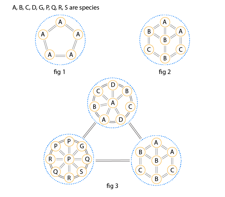 NCERT Exemplar Solution of Class 12 Biology Chapter 13 Organisms and Populations-4