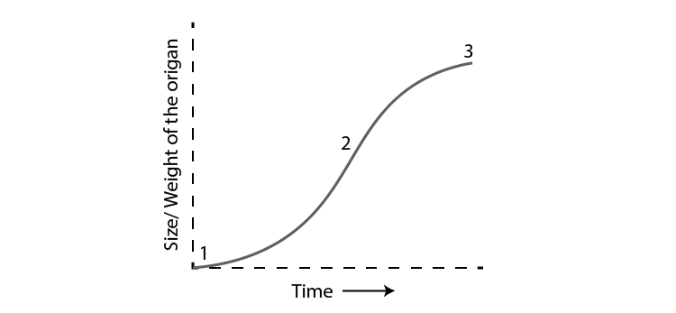 NCERT Exemplar Solution of Class11 Biology Chapter 15 Plant Growth and Development-2