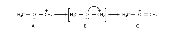 NCERT Exemplar Solutions for Class 11 Chemistry Chapter 12 Organic Chemistry Some Basic Principles and Techniques-14