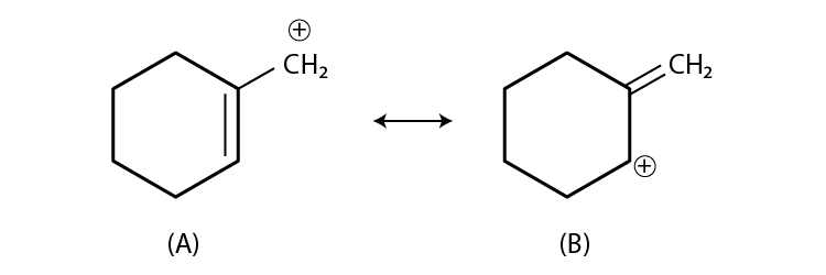 NCERT Exemplar Solutions for Class 11 Chemistry Chapter 12 Organic Chemistry Some Basic Principles and Techniques-15