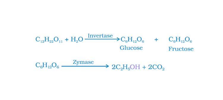 NCERT Exemplar Solutions of Class 12 Chemistry Chapter 11 Alcohol, Phenols and Ethers-14