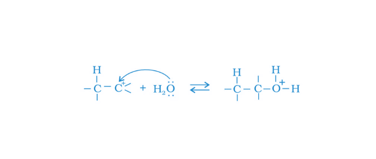 NCERT Exemplar Solutions of Class 12 Chemistry Chapter 11 Alcohol, Phenols and Ethers-17