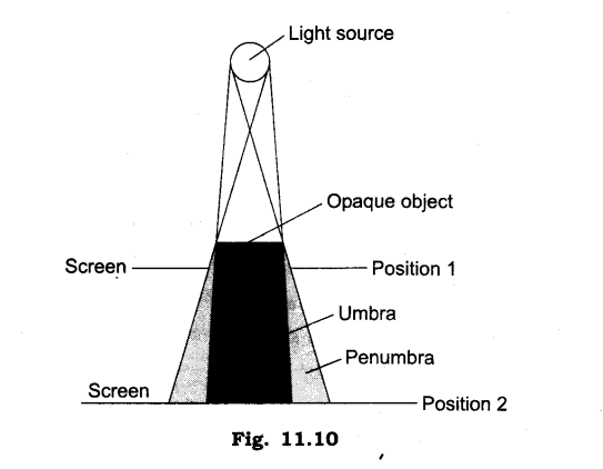 NCERT Solutions for Class 6 Science Chapter 11 Light Shadows and Reflection SAQ Q5