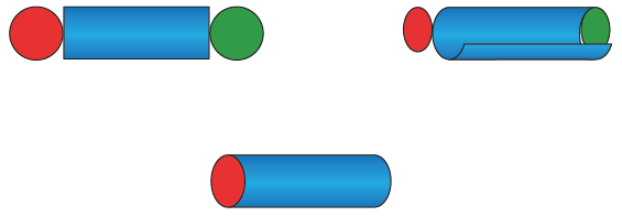 NCERT Solutions for Class 7 Maths Chapter 15 Visualising Solid Shapes Image 25