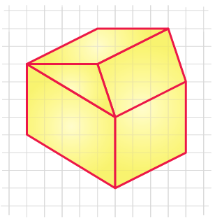 NCERT Solutions for Class 7 Maths Chapter 15 Visualising Solid Shapes Image 46