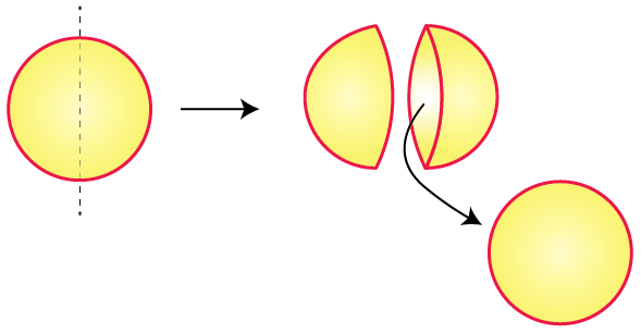 NCERT Solutions for Class 7 Maths Chapter 15 Visualising Solid Shapes Image 53