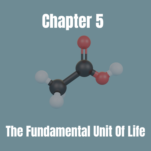 The Fundamental Unit Of Life