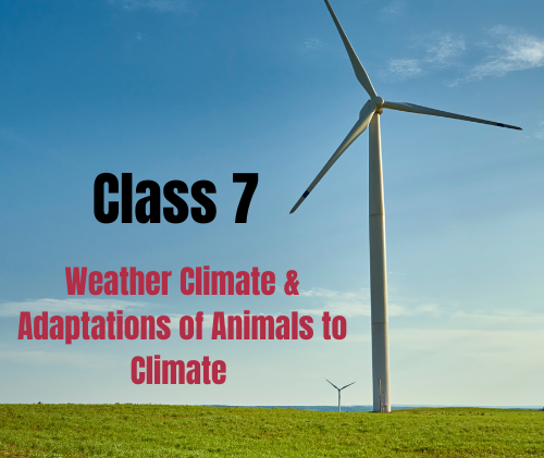 Weather Climate and Adaptations of Animals to Climate NCERT Solutions 